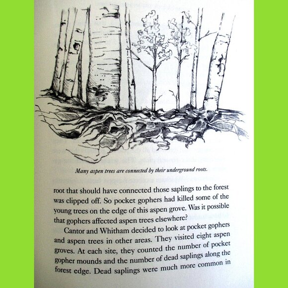 Book: The Case of the Mummified Pigs & Other Mysteries in Nature, Susan Quinlan - Picture 9 of 14